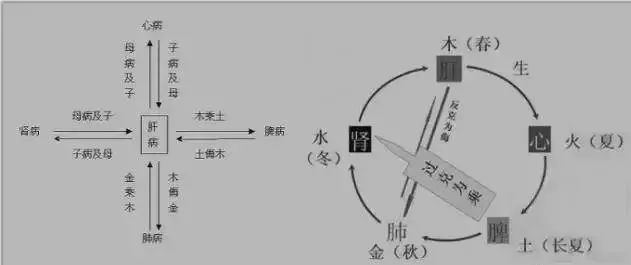 五行生克心肾相交五脏的滋生制约五脏分论通过以上的脏腑封官图,人体