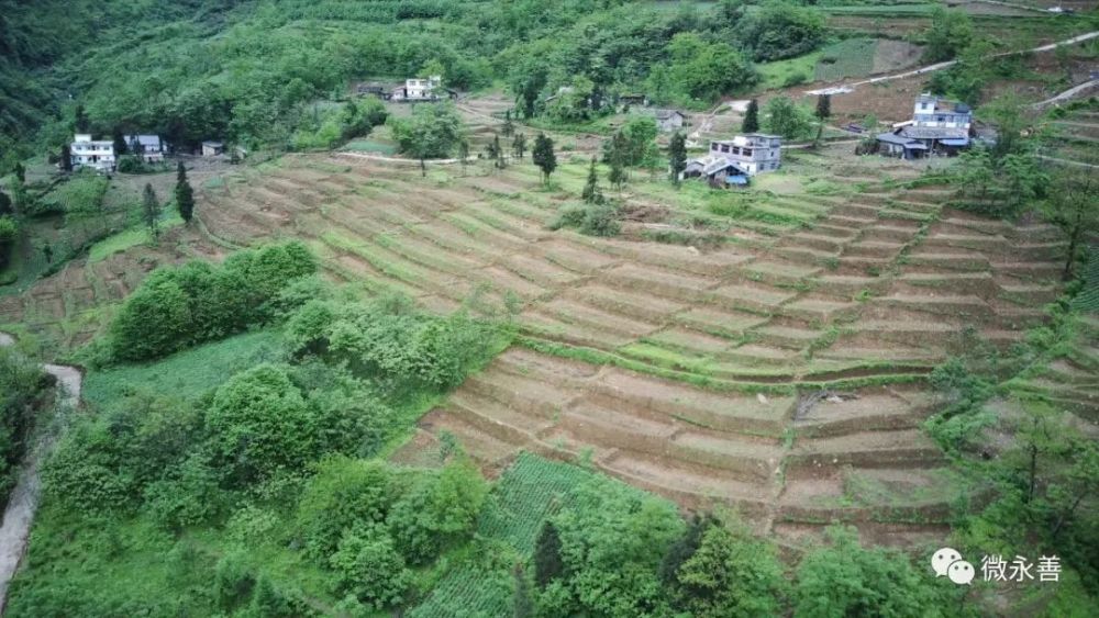 团结乡新田村土地提质改造项目建设进展顺利