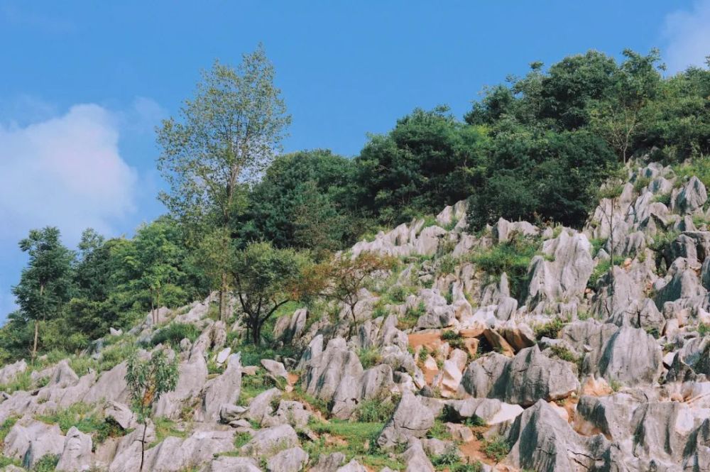 在坎子山村还藏着一个国家3a级景区—湖北省地质公园坎子山石林景区