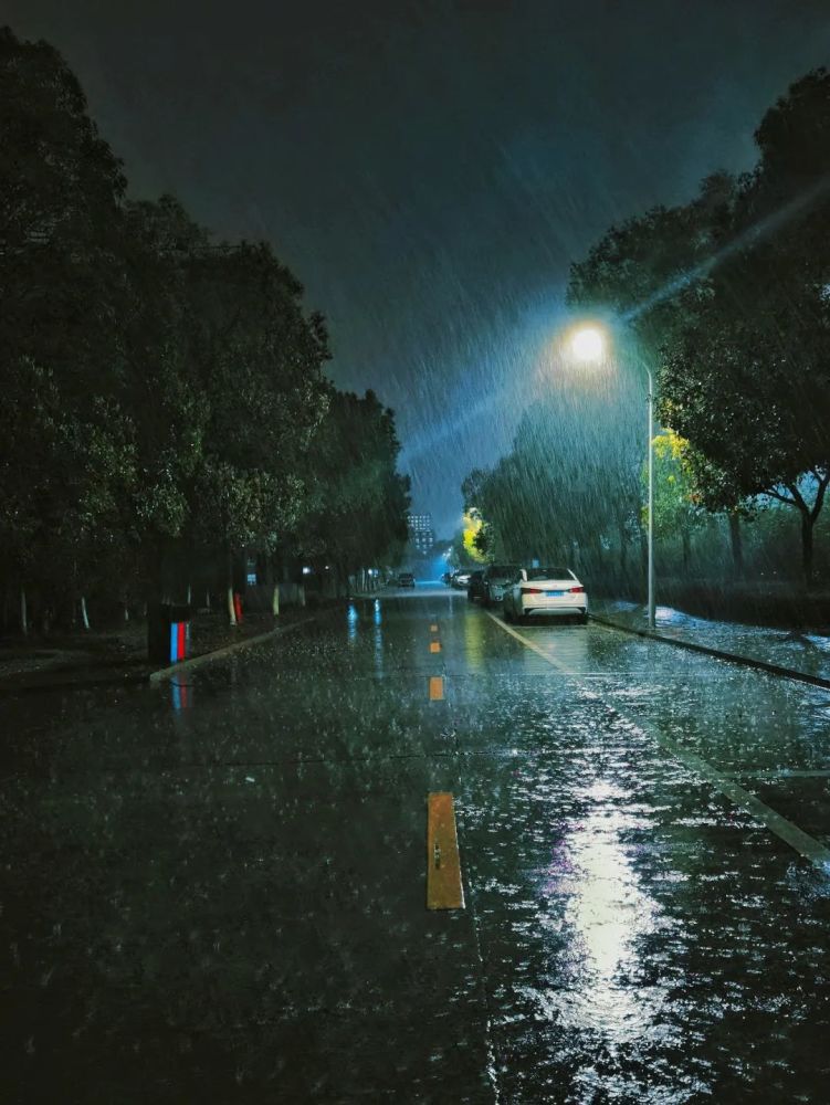 夜晚的街道空无一人 只有昏暗的路灯与它作伴 在蒙蒙细雨中 感受雨的