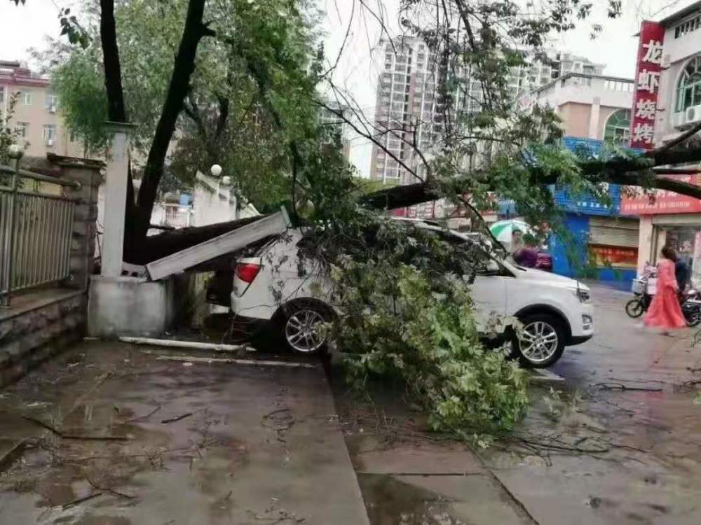 信阳突降暴雨冰雹!