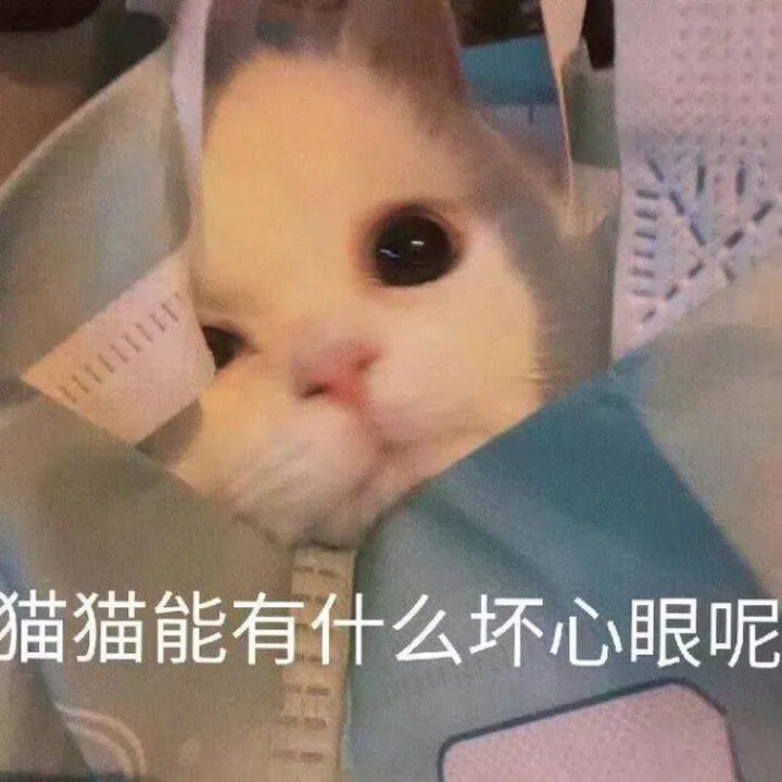 沙雕表情包|有趣的你有趣的灵魂