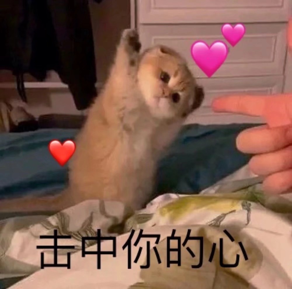 可爱表情包|快去洗吧 我又不会偷看