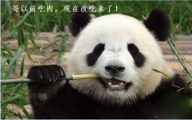 一年时间要么只能吃肉,要么只能吃素,你怎么选?