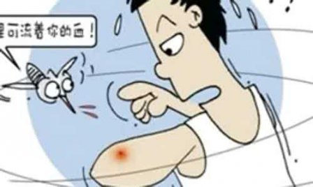 被蚊子咬的经典说说 关于蚊子的空间说说合集