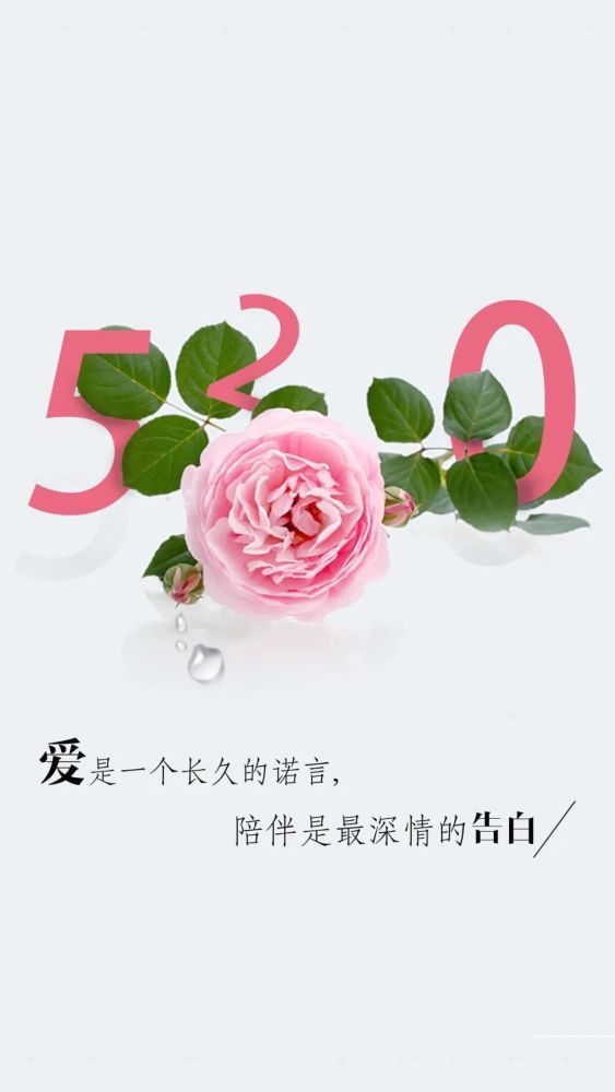 520情人节祝福语表白文案,520超唯美好看图片!