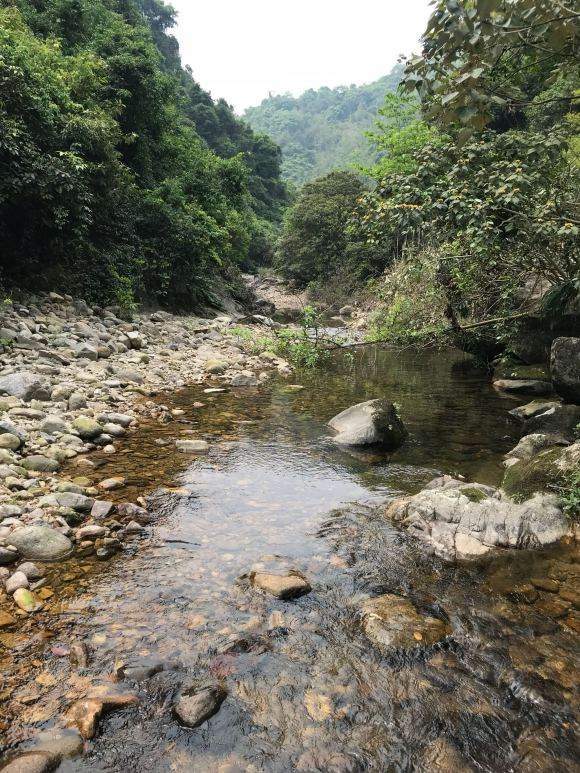 看到这条小溪沟里的鱼,钓鱼人手痒,吃货嘴馋