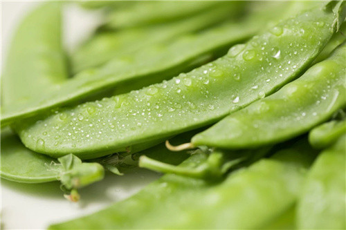 如何挑选荷兰豆呢?