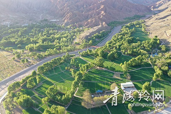 图片拍摄于贵德县尕让乡松巴村(无人机照片.