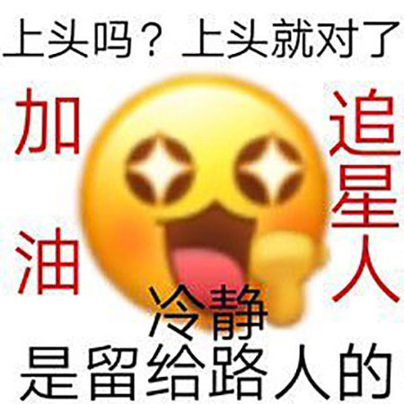追星表情包/追星女孩的真实写照