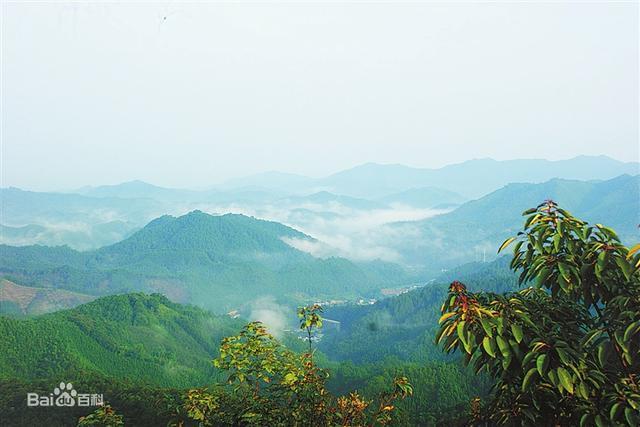 信丰县三个旅游景区介绍,周末去呼吸一下新鲜空气
