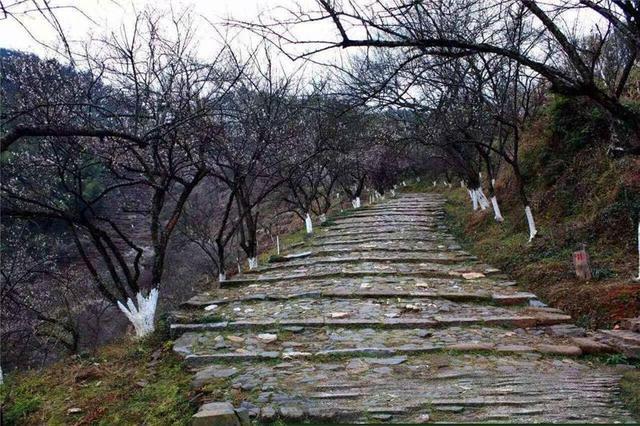 大余县知名旅游景区介绍