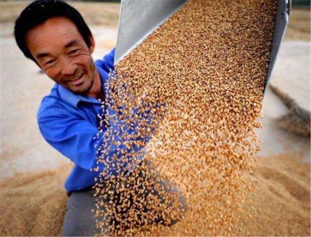 印度人均粮食_近几年印度人均收入图