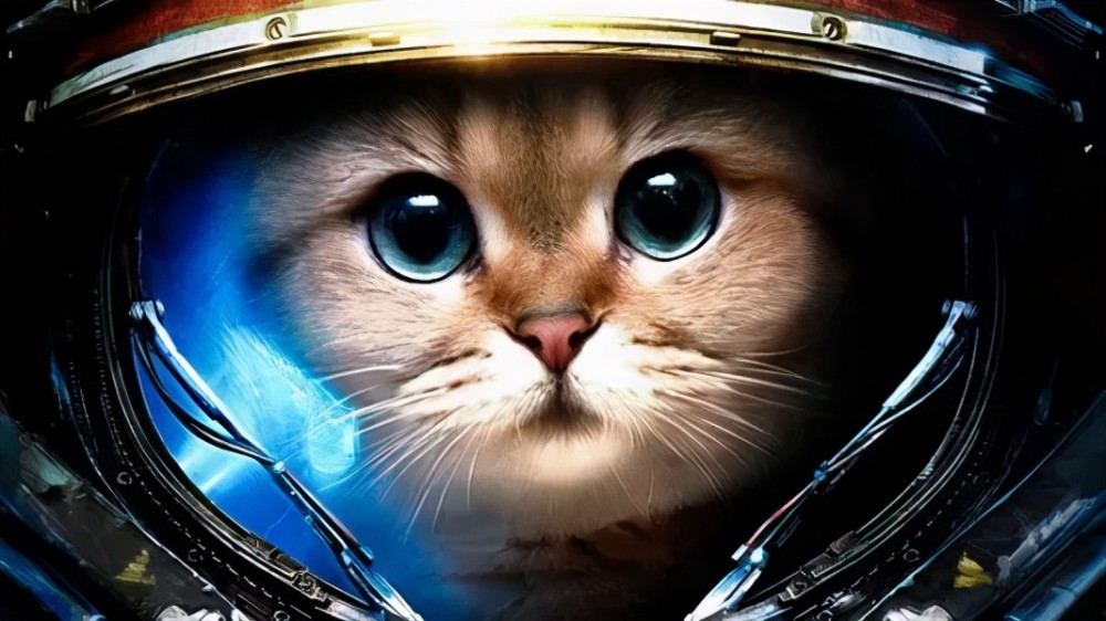 太空猫公链的性能优势,这篇文章讲得最通透
