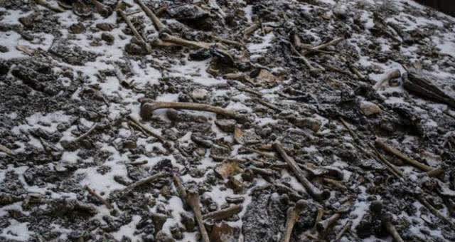 昆仑山死亡谷内骸骨遍地国家曾派专家探秘后来结果如何