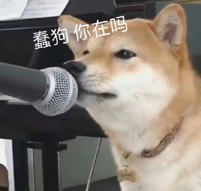 适合聊天时开头的表情包