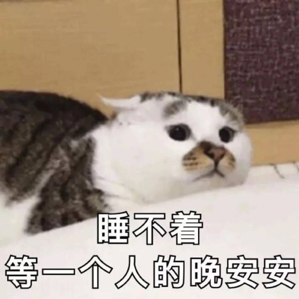 适合聊天时开头的表情包