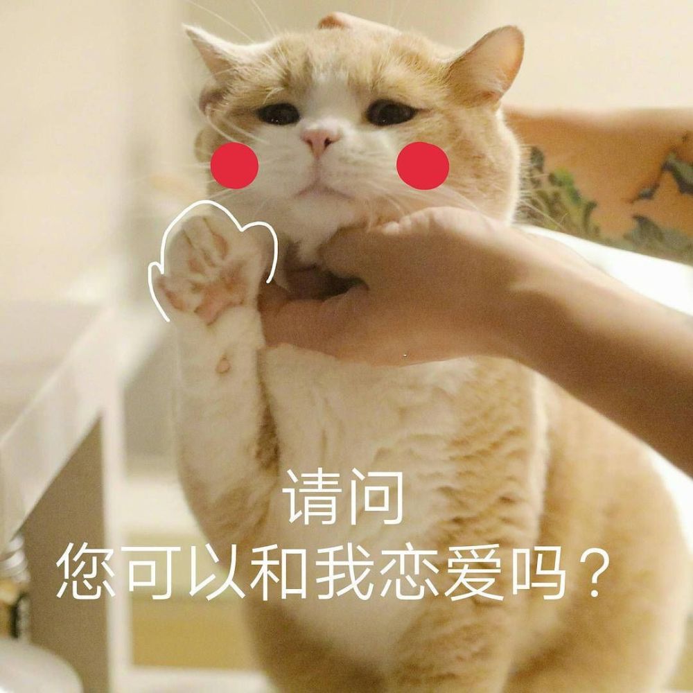 适合聊天时开头的表情包
