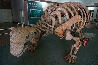恐龙中的"虎式坦克":迅猛龙咬一口能崩掉牙,甲龙有多