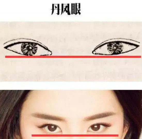 在古代,丹凤眼乃最美眼睛,有富贵之相.