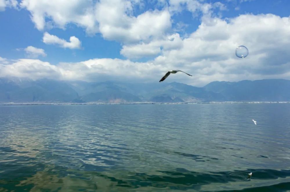 云南洱海游船旅游新航线,一船尽装大理景,遍看洱海水!