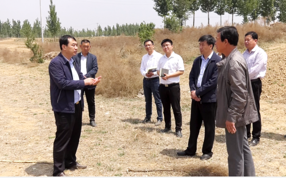 冀州区委书记贾宏迅调研我区河渠连通及引水蓄水工作