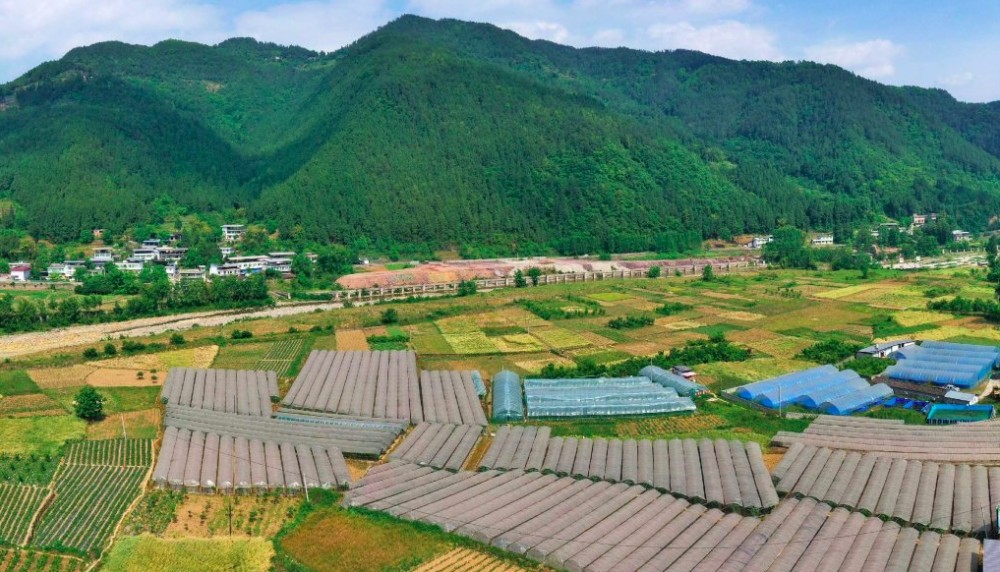 摄(视觉四川)四川在线记者 史晓露"五一"假期刚过,南充市西充县多扶镇