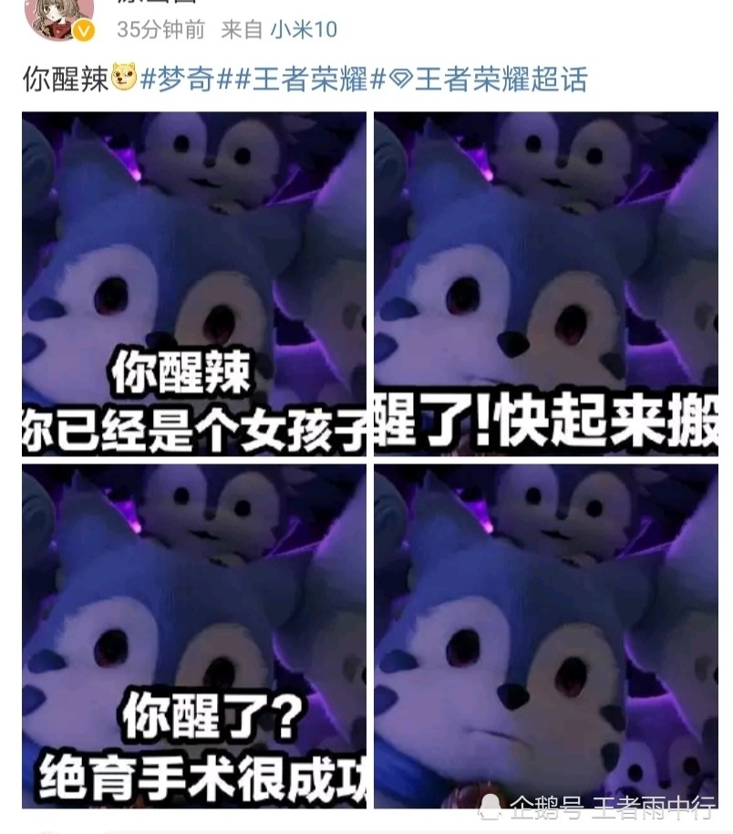 梦奇重塑上线引发热议,九位国服换黑白头像追悼老版梦奇,cg动画火出圈