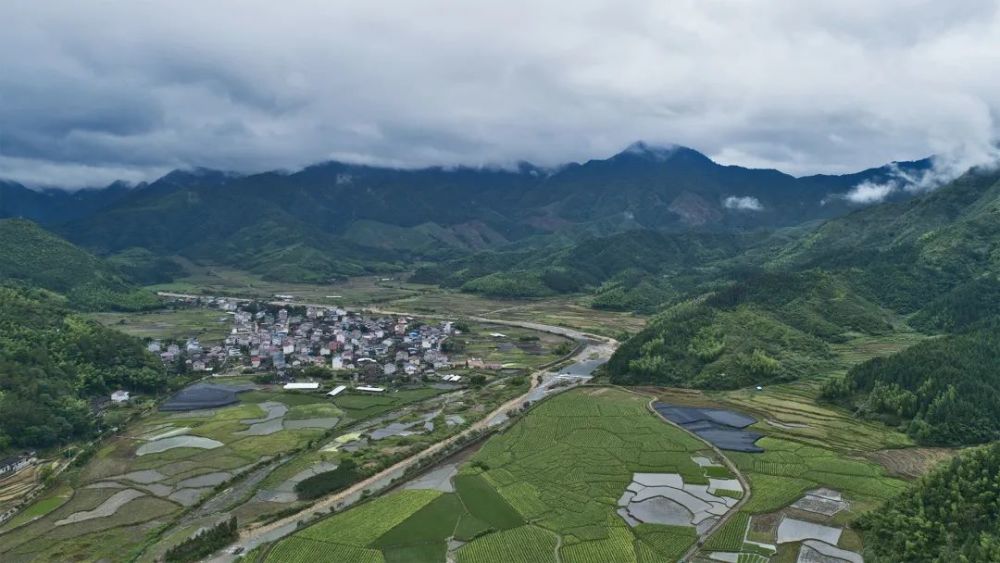 闽北美景|浦城:好山好水常相伴,这是管厝乡生态党溪的绿色田园生活