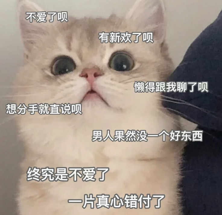 套路你家男朋友的可爱猫猫表情包