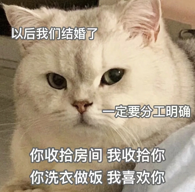 套路你家男朋友的可爱猫猫表情包