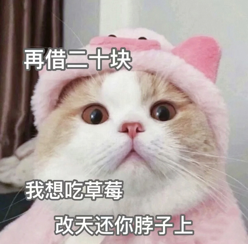 套路你家男朋友的可爱猫猫表情包