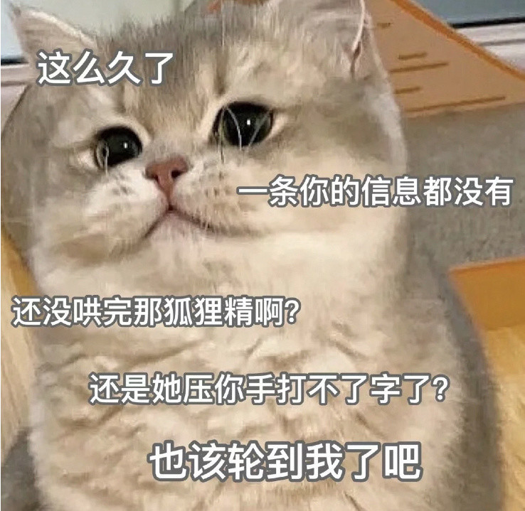 套路你家男朋友的可爱猫猫表情包