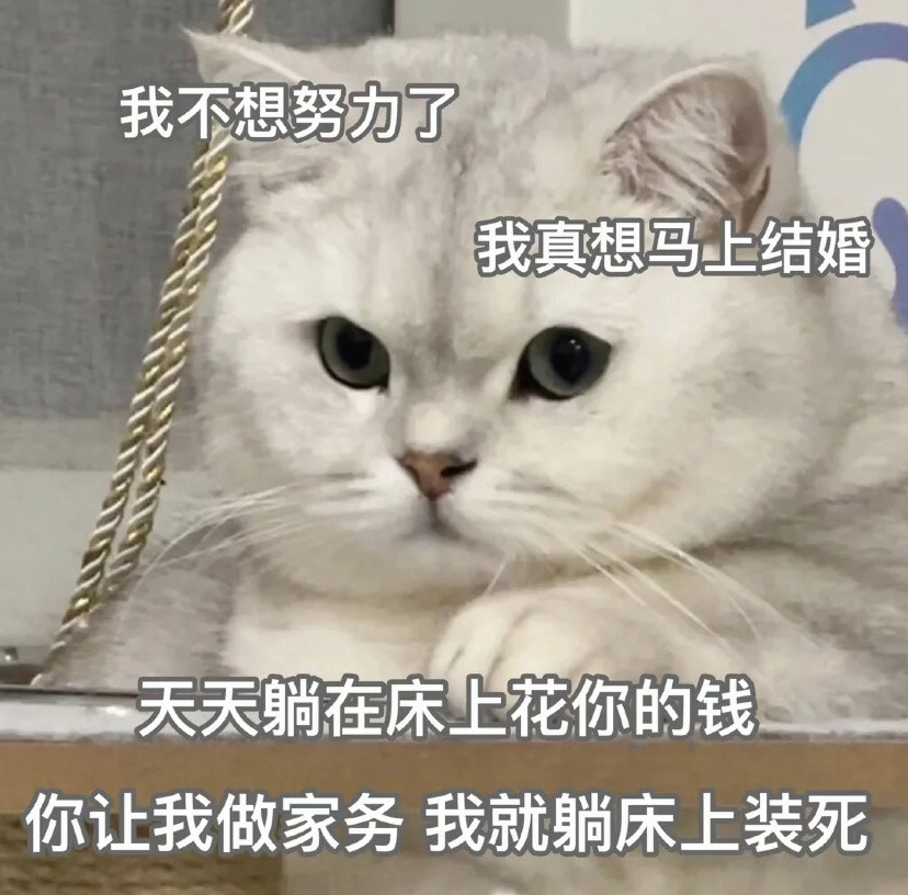 套路你家男朋友的可爱猫猫表情包