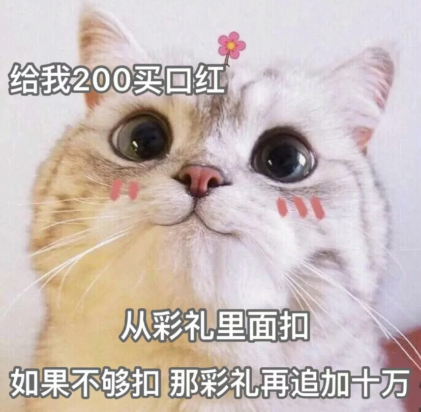 套路你家男朋友的可爱猫猫表情包