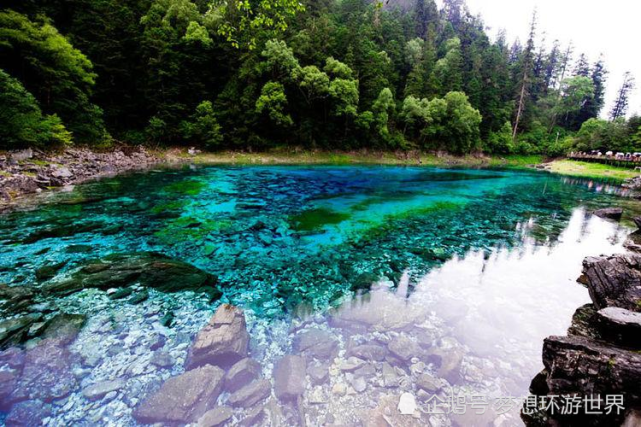 九寨归来不看水!夏天去九寨沟旅游,特别合适