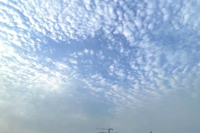 黄昏郑州天幕再现鱼鳞云为啥说预示着明天是晴天