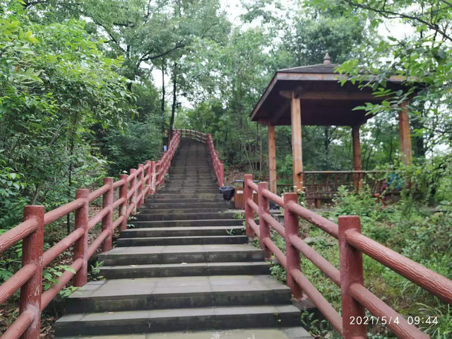 成都龙泉钟家山森林公园健身步道_腾讯新闻