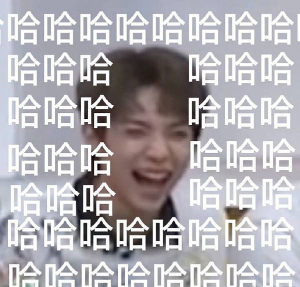 罗一舟表情包:根正苗红小猪包