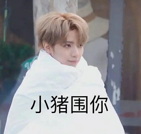罗一舟表情包:根正苗红小猪包