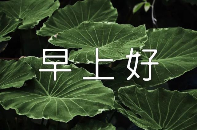 5月12日最新早上好问候动态表情图片 暖心早上好图片