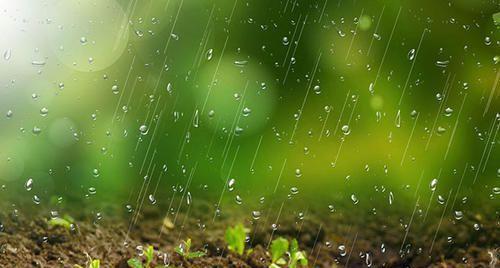 一片落叶在雨中摇曳,带走了一段时间的记忆