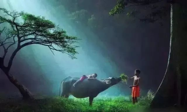 人生最贵的是什么?(精辟)