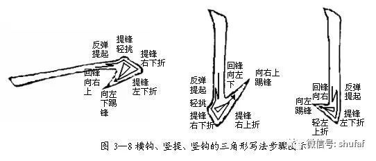 钓甲鱼用直针钓是什么原理_甲鱼鞭是什么样子的(2)