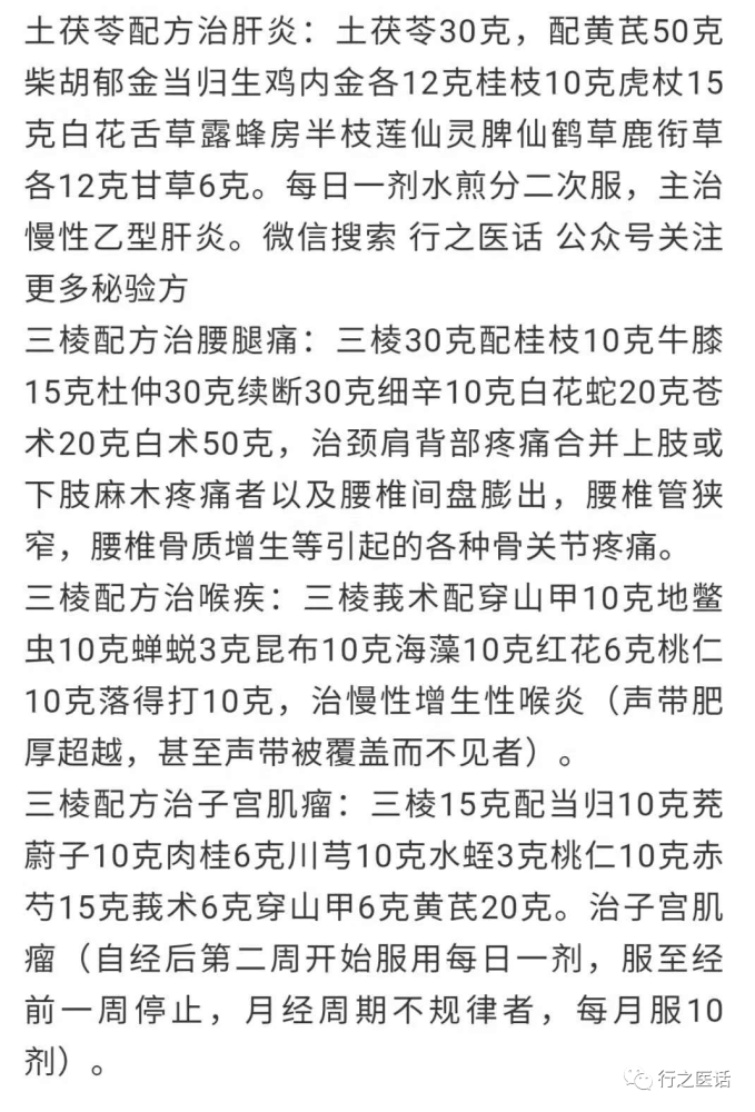 当归的简谱_当归图片植株(2)