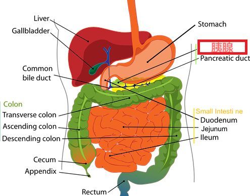 胰腺癌早期6个症状建议收藏转发