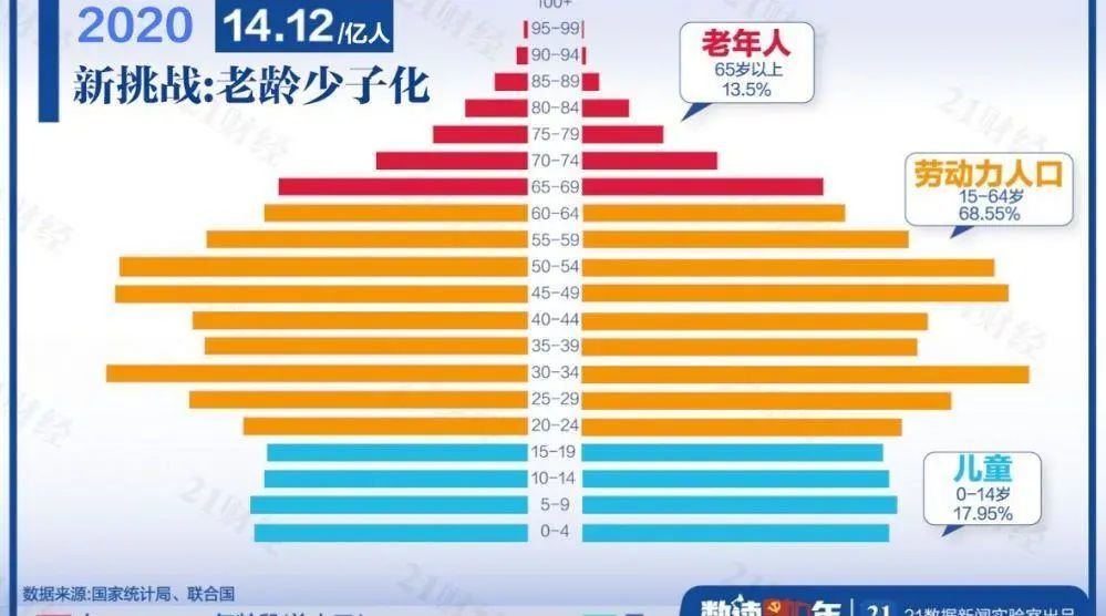 农村人口文化程度_农村人口问题图片(2)