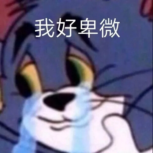 快发给你家臭宝的憨憨表情包