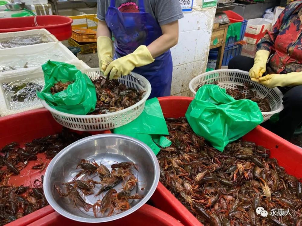 摊主告诉记者"这几天小龙虾已经非常便宜了,买的人也特别多,买小龙虾