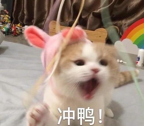 "套路你家臭宝的憨憨表情包"